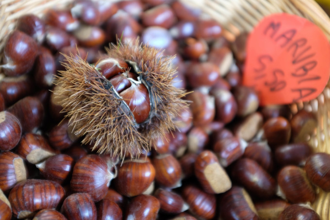 イタリアの自家製マロングラッセ 🌰 Marron glacè_b0246303_06364885.jpg