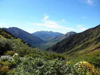 d0032405_21583715.jpg