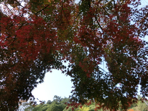 b0190908_10343896.jpg