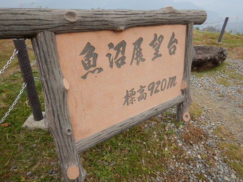 e0243008_5245931.jpg