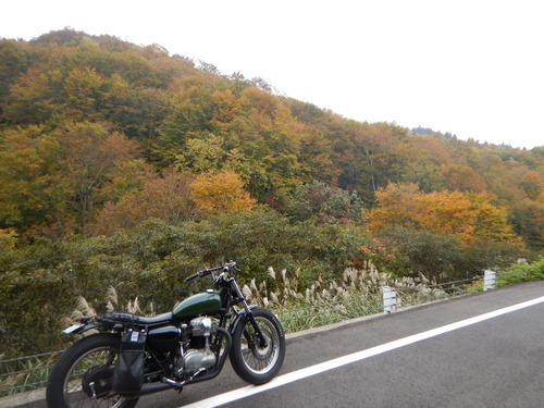 e0243008_524951.jpg