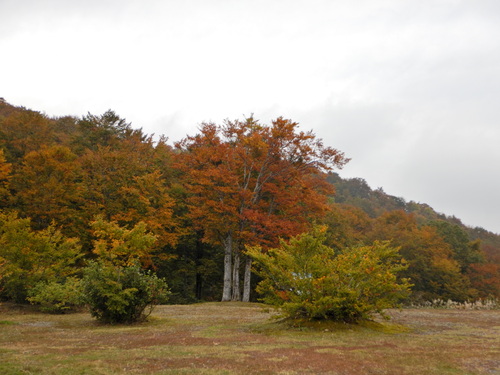 e0243008_5272083.jpg