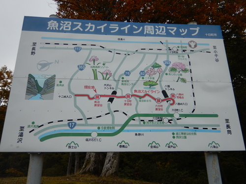 e0243008_5285228.jpg