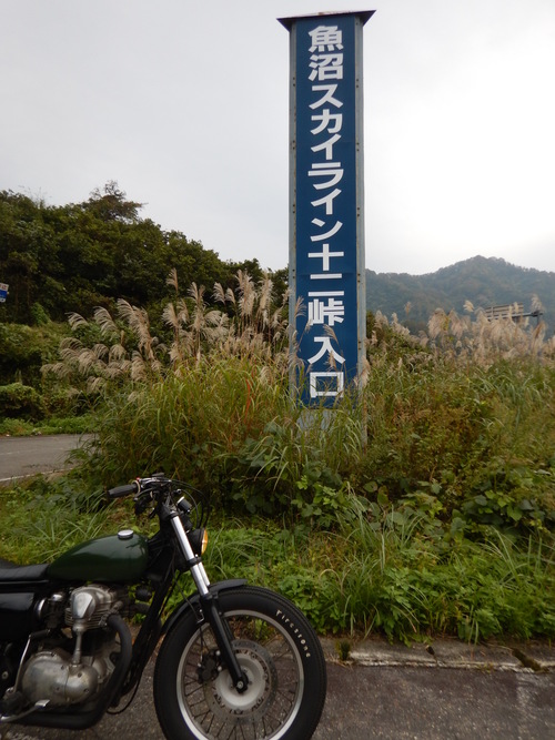 e0243008_5291494.jpg