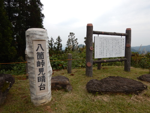 e0243008_592246.jpg
