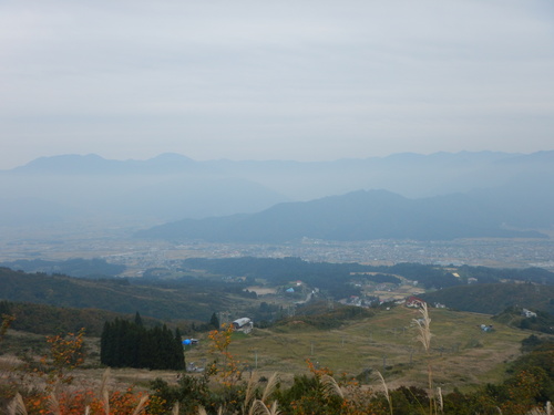 e0243008_594568.jpg