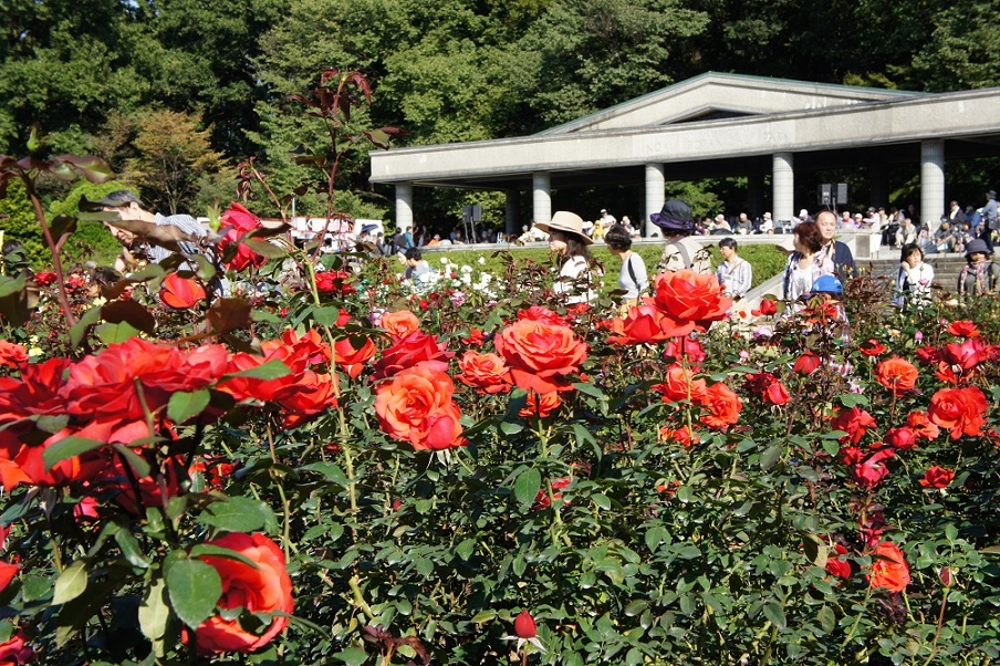 b0112909_1922419.jpg