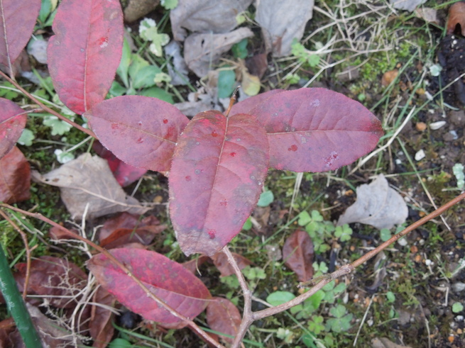 f0297809_0101740.jpg
