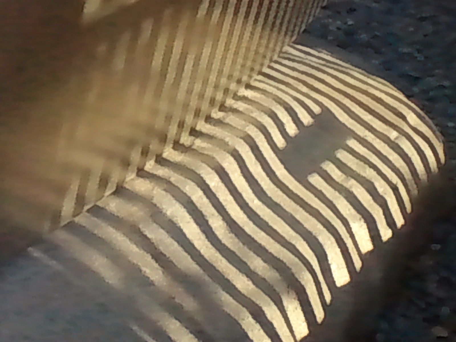 c0062511_9105175.jpg