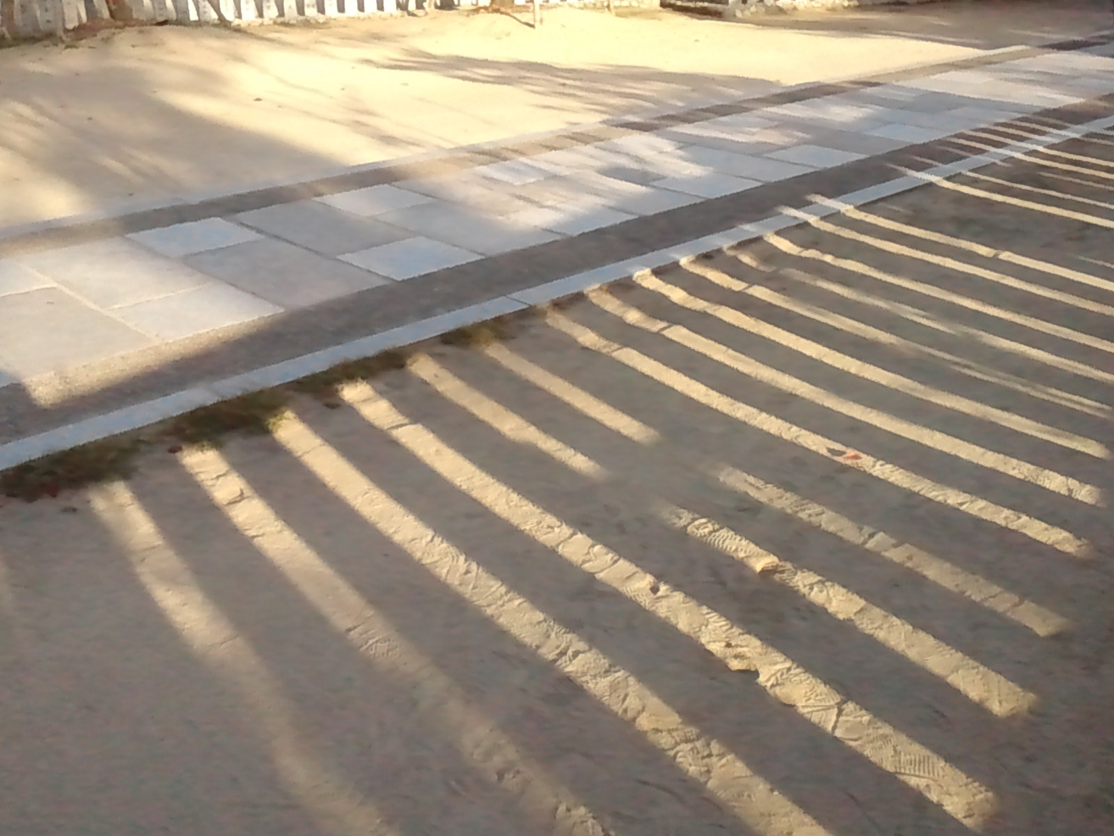 c0062511_97305.jpg