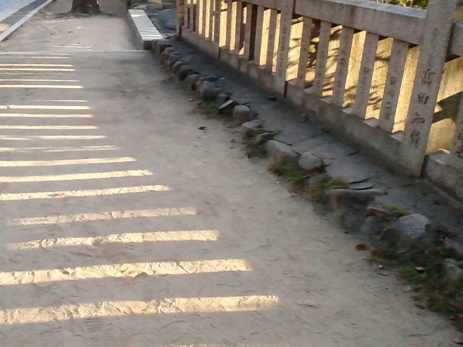 c0062511_974166.jpg