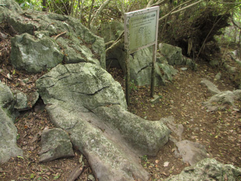 e0293913_23421966.jpg