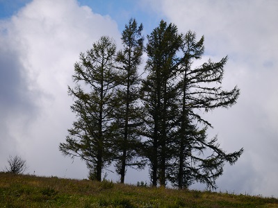 c0227720_23462647.jpg