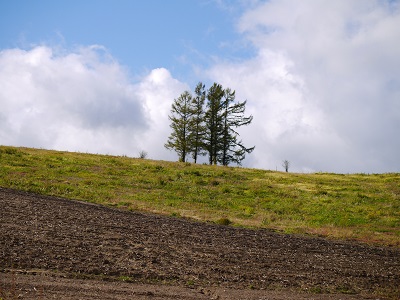 c0227720_2346852.jpg