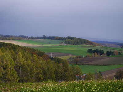 c0227720_23534036.jpg