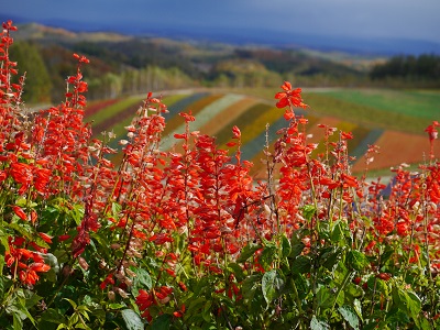 c0227720_23563494.jpg