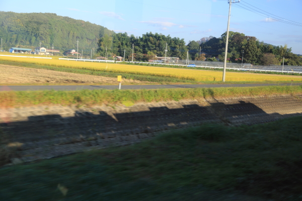 f0229832_9251064.jpg