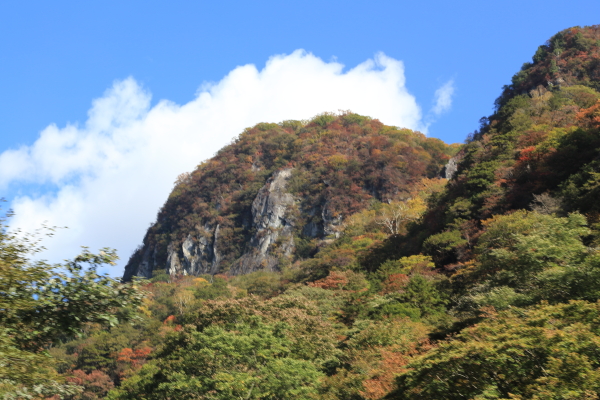 f0229832_9333497.jpg