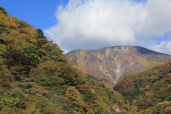f0229832_9344050.jpg