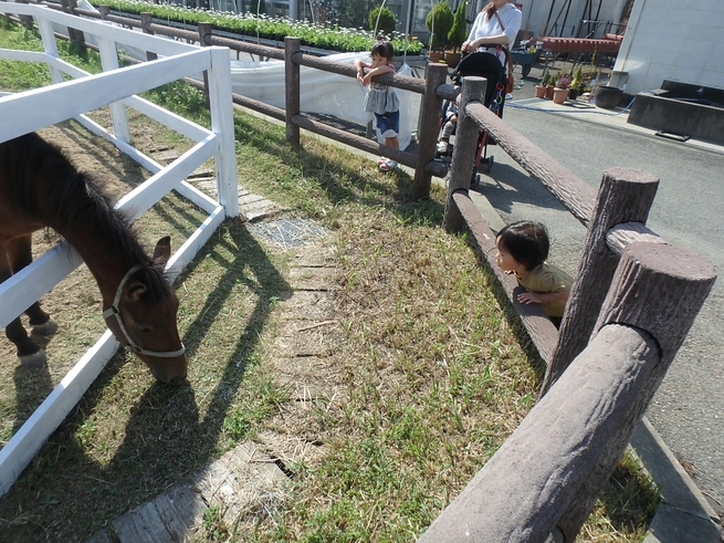 c0113733_11395265.jpg