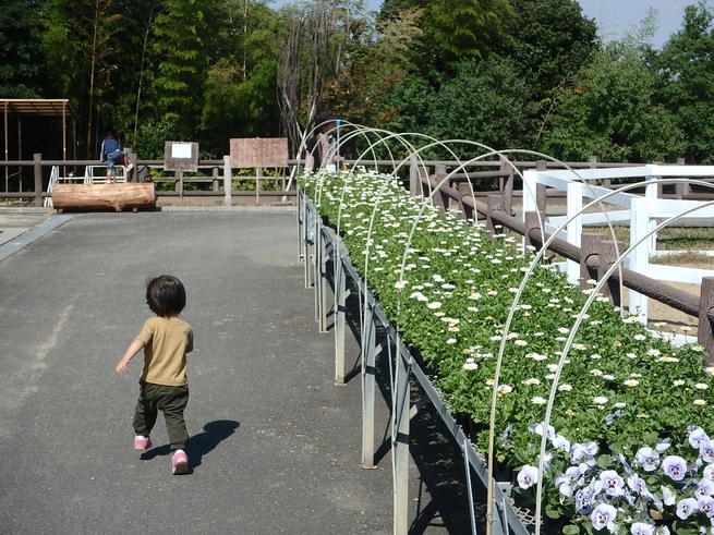 c0113733_11402772.jpg