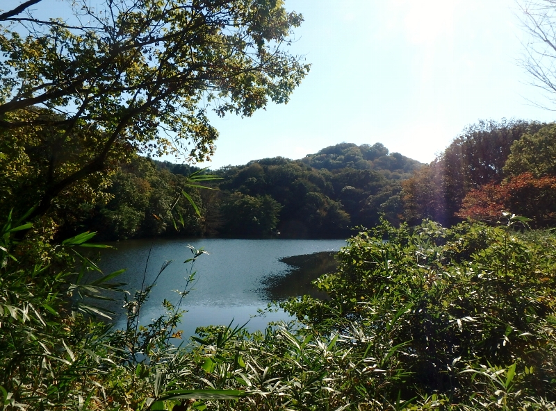 c0113733_23405386.jpg