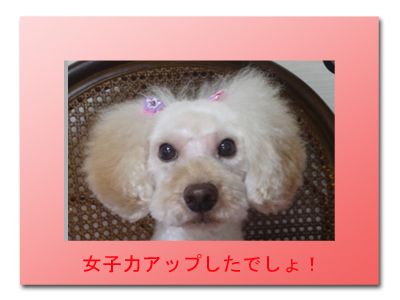 ★びっくり・ぽん♪_c0343936_0454722.jpg