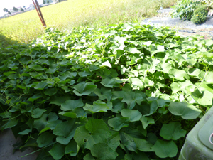 ★三連休~2♪_c0343936_08419.jpg