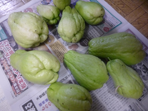 ★三連休~2♪_c0343936_085876.jpg