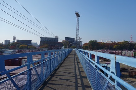 b0169238_22092186.jpg