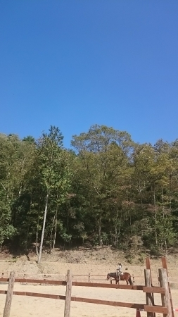 e0145441_20531243.jpg