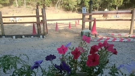 e0145441_21004083.jpg