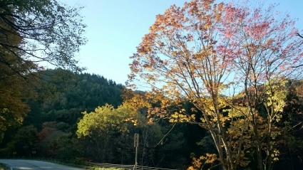 c0295742_13453741.jpg