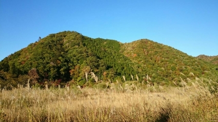 c0295742_13454101.jpg
