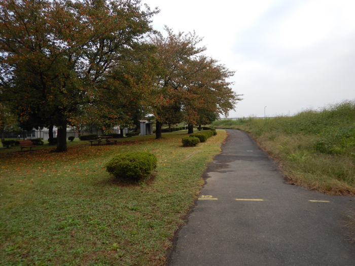 命拾い…(10月18日の朝練)_b0136045_08374830.jpg