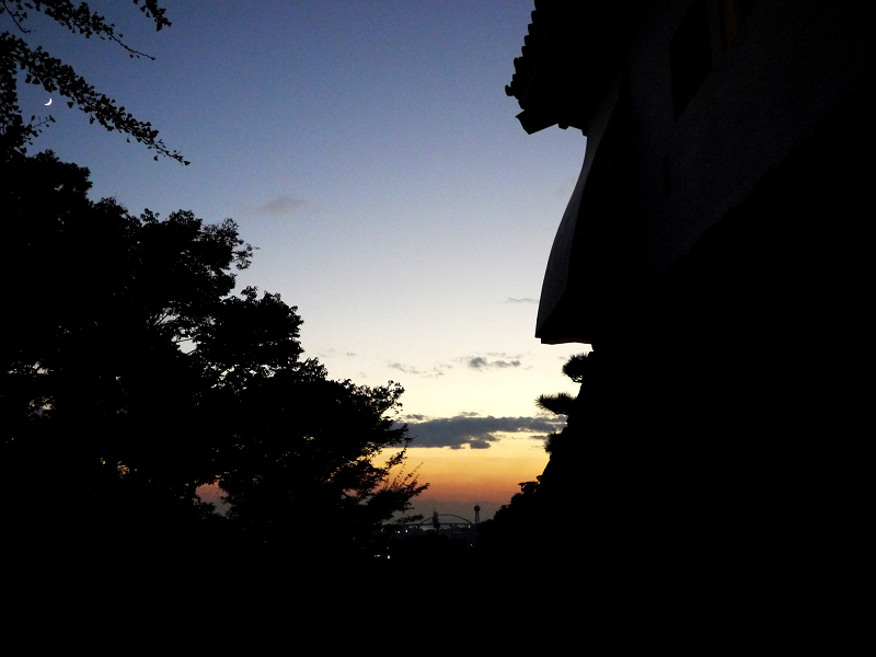 和歌山城　　２０２４-０５-１７　００：００_b0093754_20404887.jpg