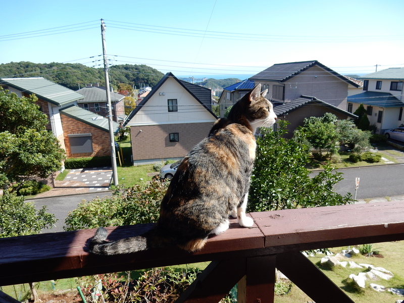’15、10,18(日)紅葉日和!_f0060461_143176.jpg