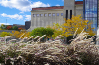 c0242063_2181250.jpg