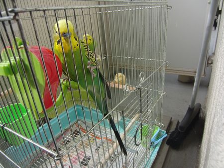 f0196665_94847.jpg