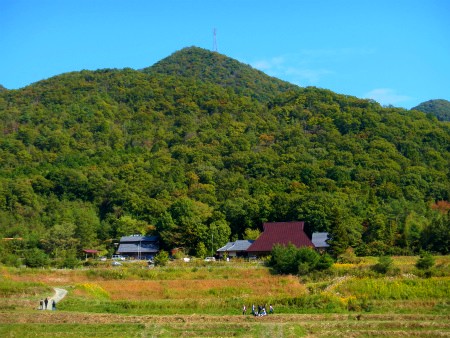 2015　「丹波焼陶器まつり」　窯元めぐり_b0056570_18502752.jpg