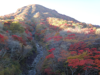 紅葉鮮やか、大船山（大分県久住町）_d0182075_4295727.jpg