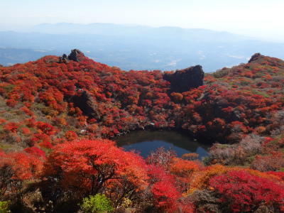 紅葉鮮やか、大船山（大分県久住町）_d0182075_4541983.jpg