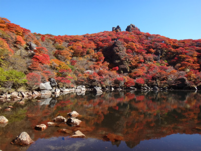 紅葉鮮やか、大船山（大分県久住町）_d0182075_4553640.jpg