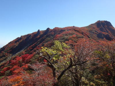 紅葉鮮やか、大船山（大分県久住町）_d0182075_4595883.jpg