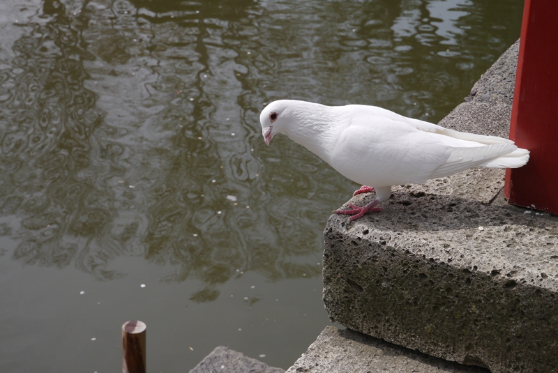 b0018682_2352631.jpg