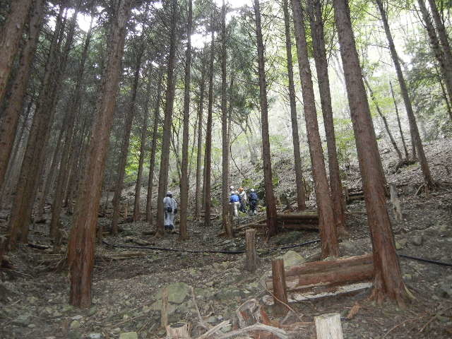 a0166183_13545652.jpg