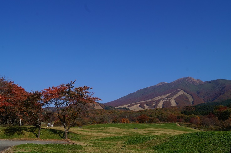 d0129083_10240700.jpg