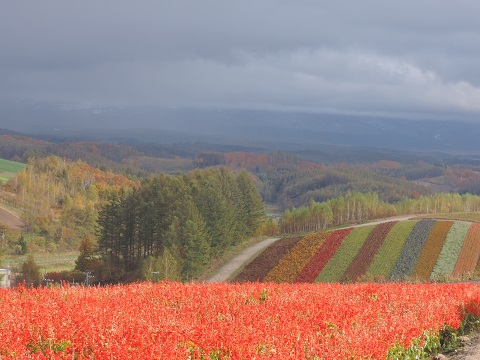 北海道にて^^①_a0211886_2151031.jpg