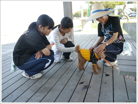 土曜日パパさんとお留守番してくれたさくら＆大、日曜日は２わんず孝行をたっぷりしましたよ～その１_b0175688_23312362.jpg