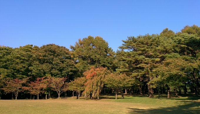 函館紅葉フェスタへ_c0205393_09581659.jpg